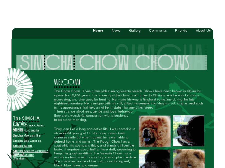 www.simchachowchows.co.uk