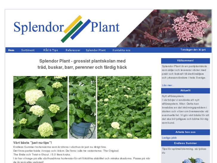 www.splendorplant.com