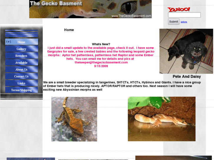 www.thegeckobasement.com