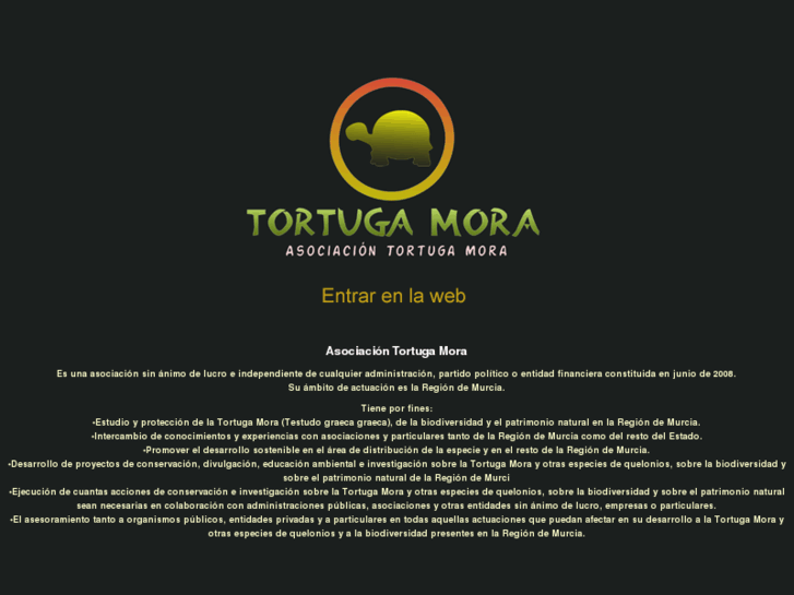 www.tortugamora.org