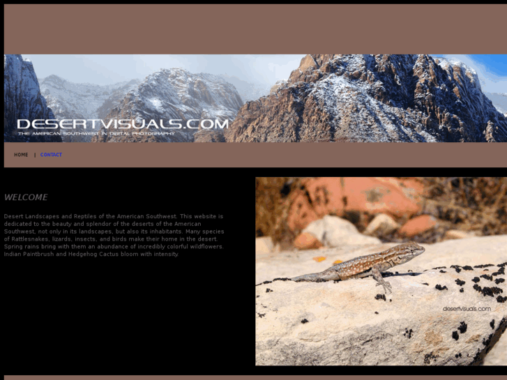 www.desertvisuals.com