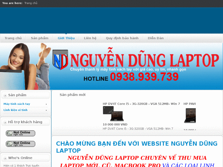 www.nguyendunglaptop.com