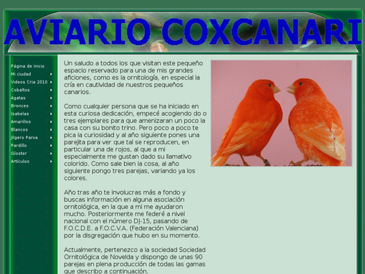 www.aviariocoxcanari.es