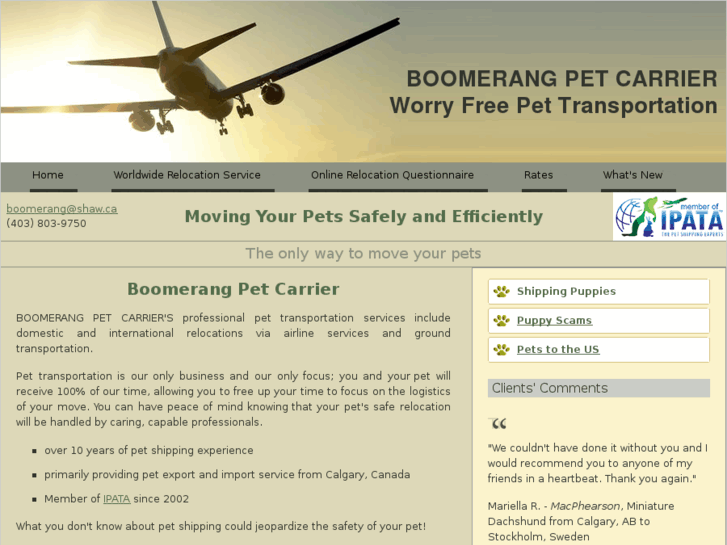 www.boomerangpetcarrier.com