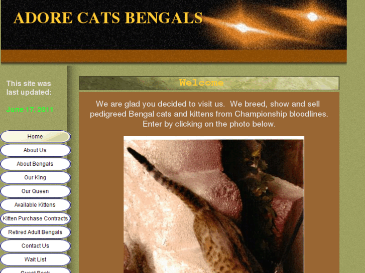 www.adorecatsbengals.com