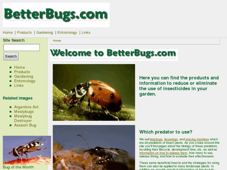 www.betterbugs.com