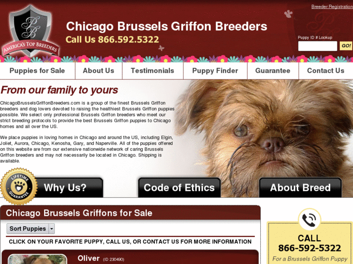 www.chicagobrusselsgriffonbreeders.com