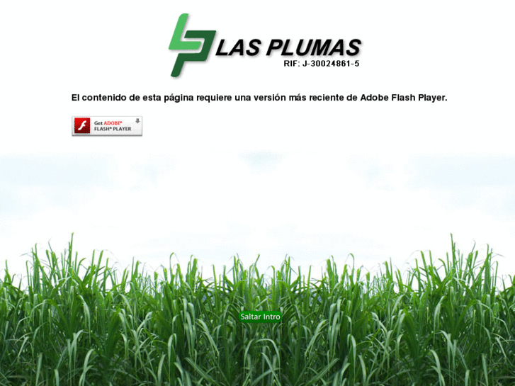 www.grupoplumas.net