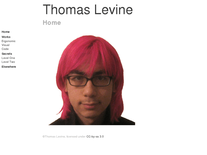 www.thomaslevine.com