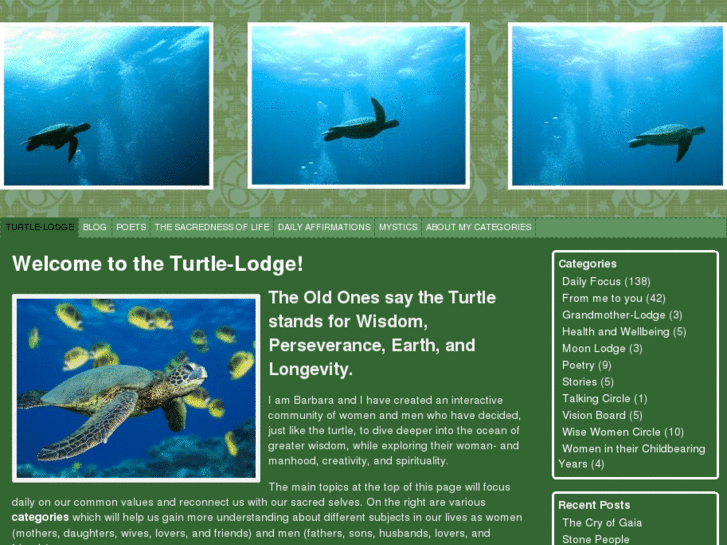 www.turtle-lodge.com