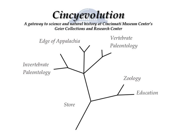 www.cincyevolution.org