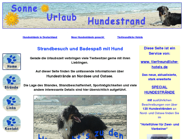 www.hundestraende.de