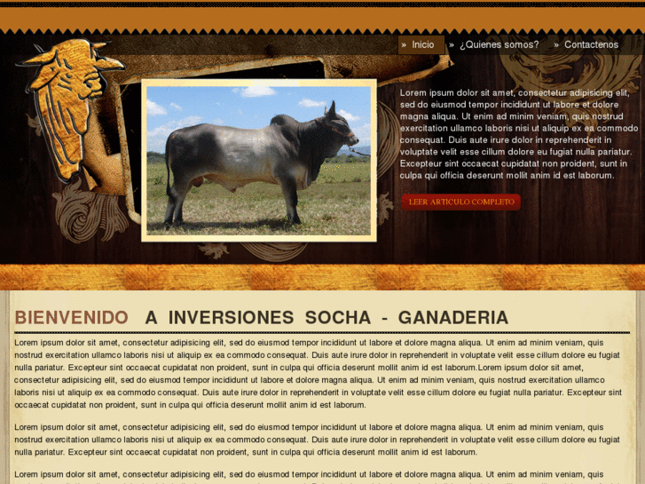 www.inversionessocha.com