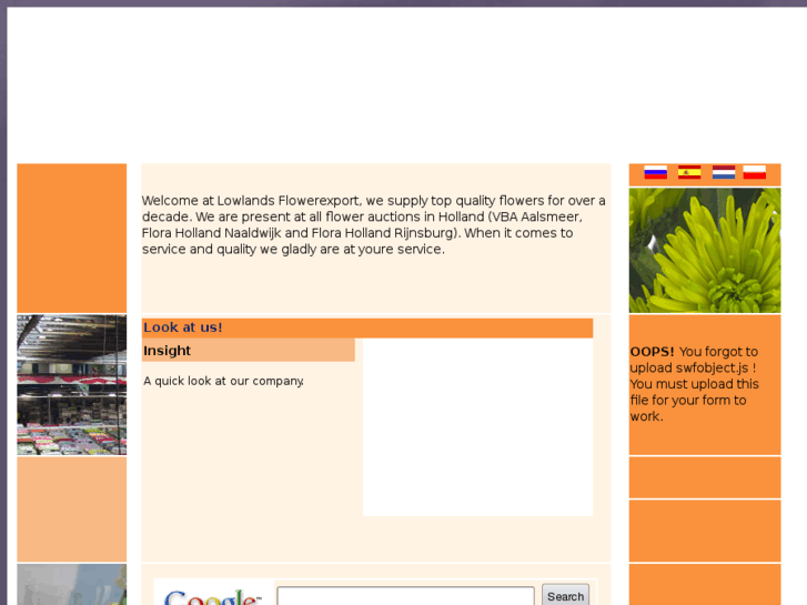 www.lowlandsflowerexport.nl