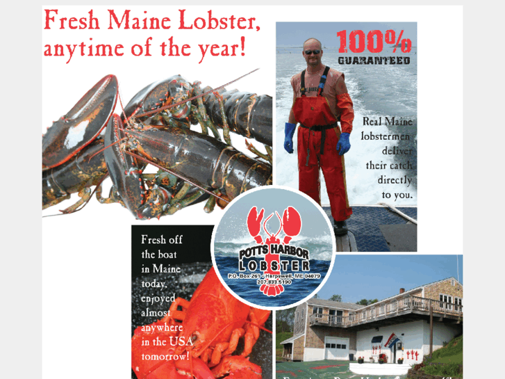 www.pottsharborlobster.com