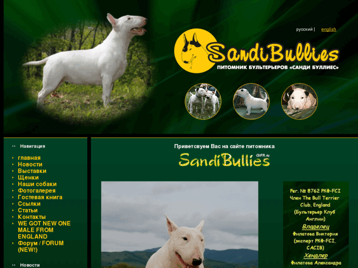 www.sandibullies.ru