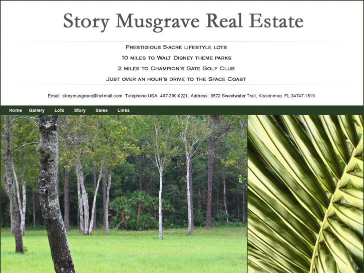 www.storymusgraverealestate.com