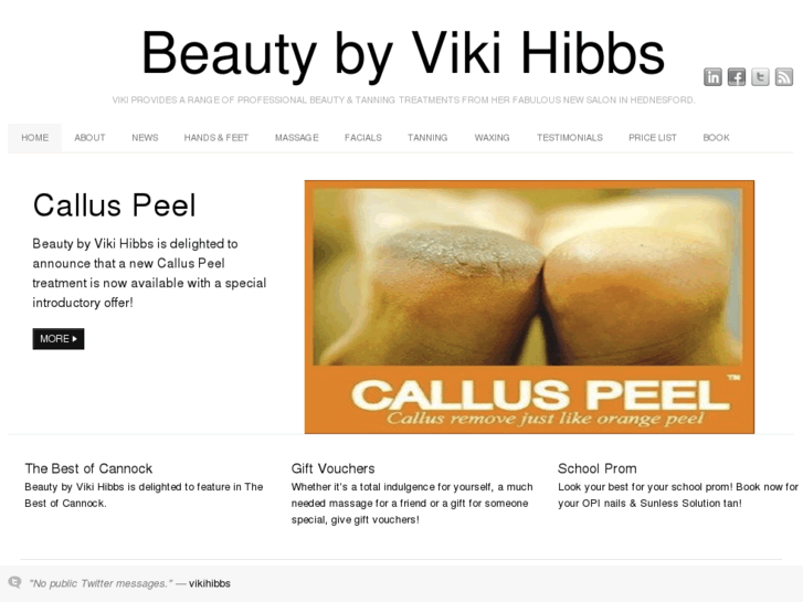 www.vikihibbs.com