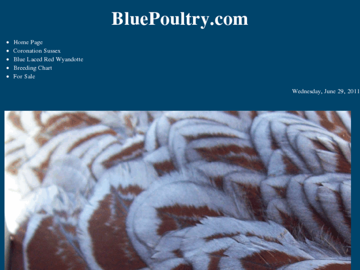 www.bluepoultry.com