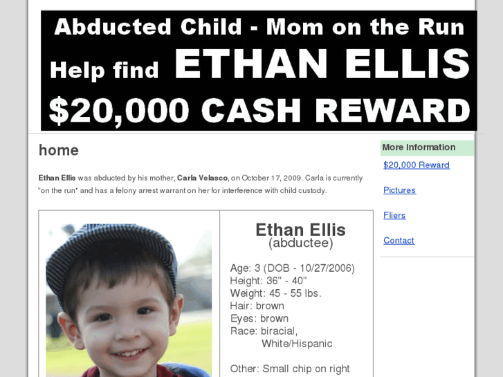 www.ethanellis.com