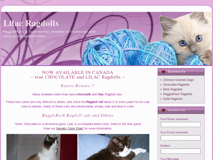 www.lilacragdoll.com