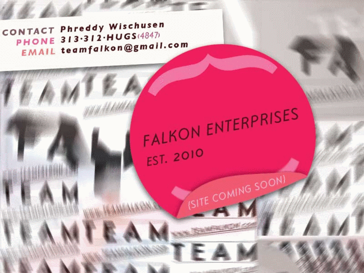 www.teamfalkon.com