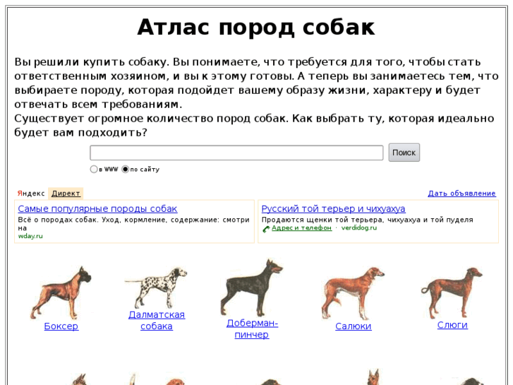 www.aboutdog.ru