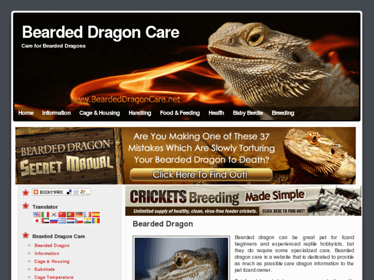 www.beardeddragoncare.net