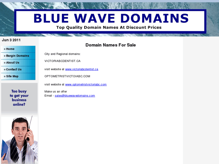 www.bluewavedomains.com