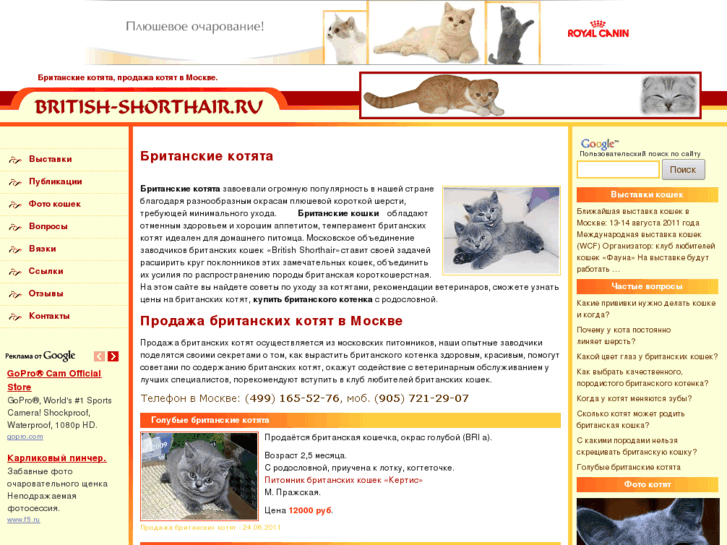 www.british-shorthair.ru