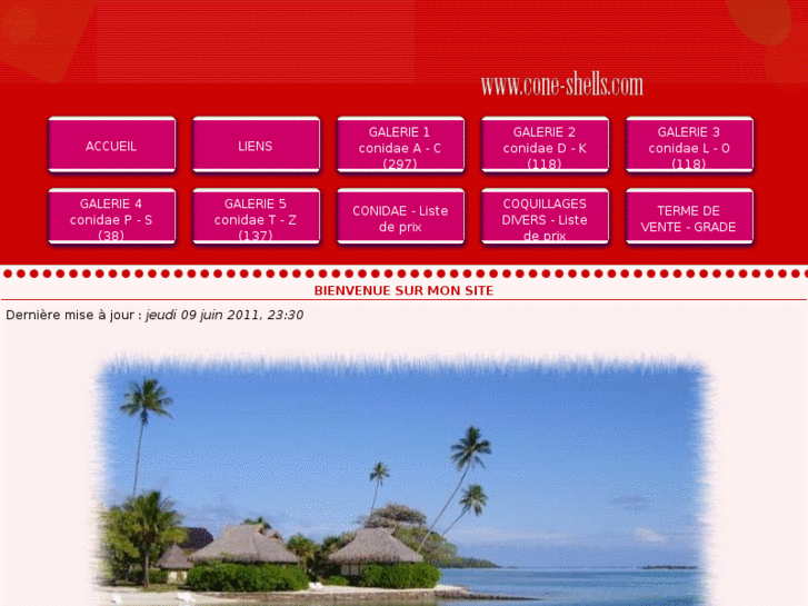 www.cone-shells.com