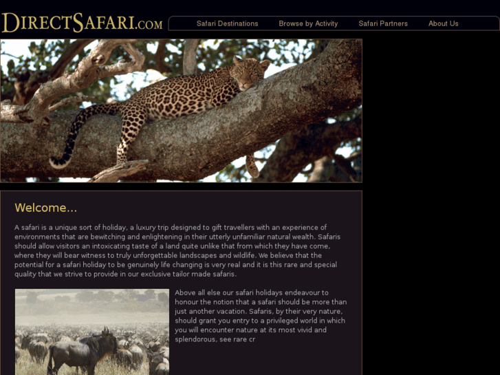 www.directsafari.com