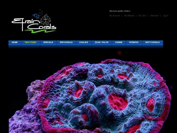 www.efraincorals.com