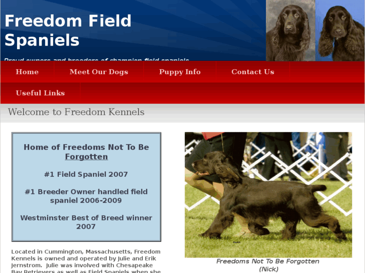 www.freedomfieldspaniels.com