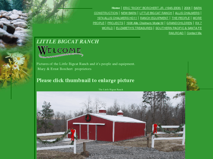 www.littlebigcatranch.com