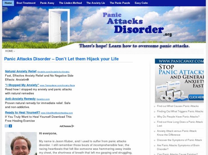 www.panicattacksdisorder.org