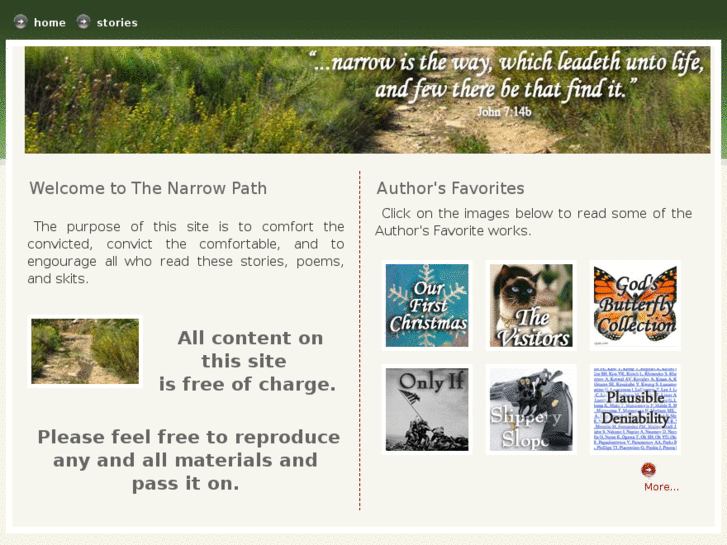 www.thenarrowpath.info