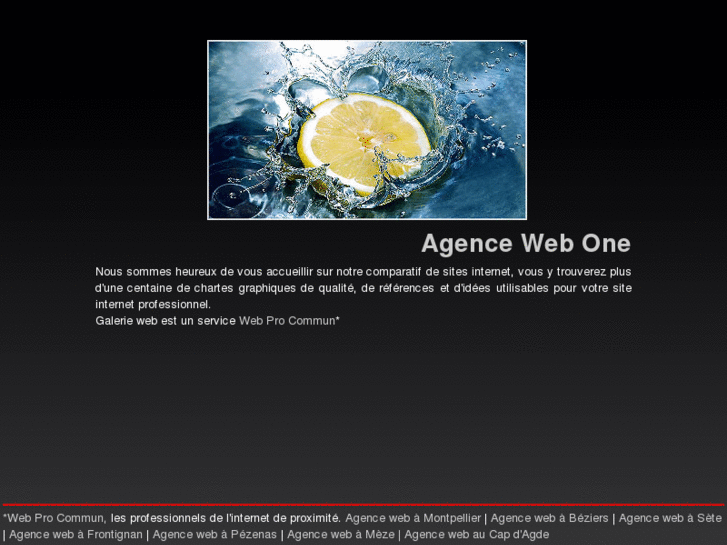 www.agence-web-1.com