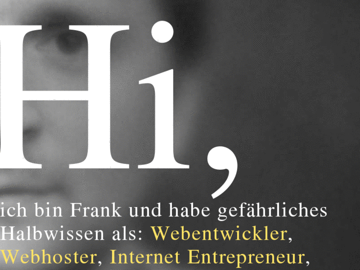 www.franklaemmer.de