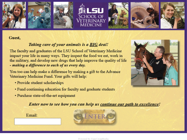 www.lsusvm.net