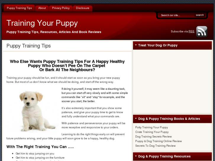 www.training-your-puppy.com