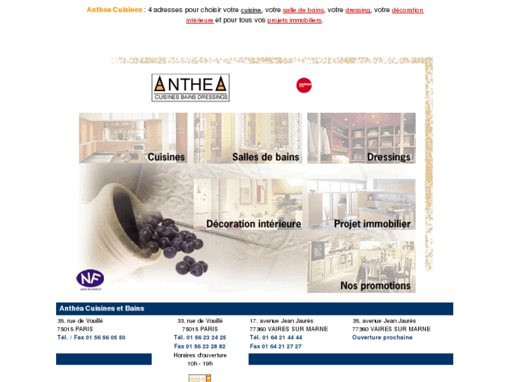 www.anthea-cuisines.com