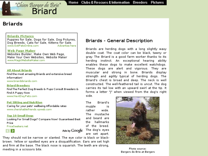 www.briard-dogs.com