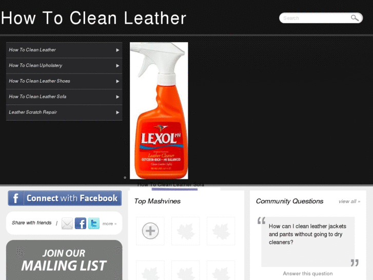 www.howtocleanleather.net