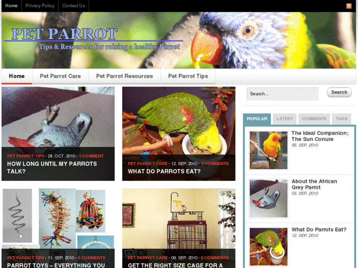 www.petparrot.net