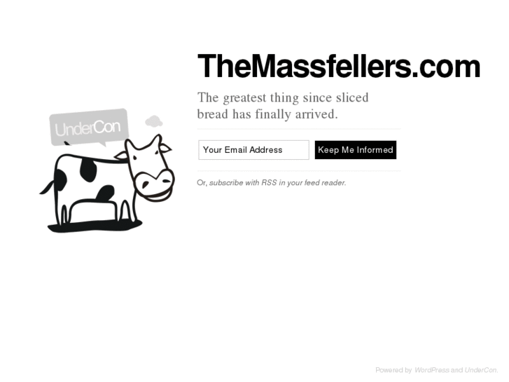 www.themassfellers.com