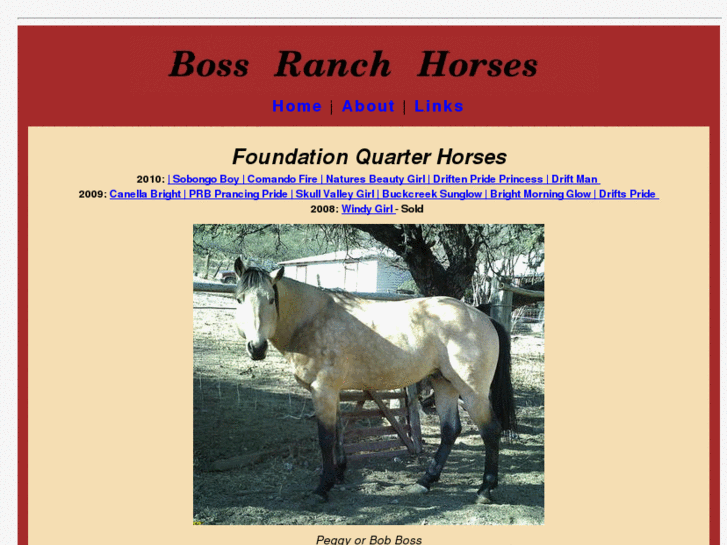 www.bossranchhorses.com