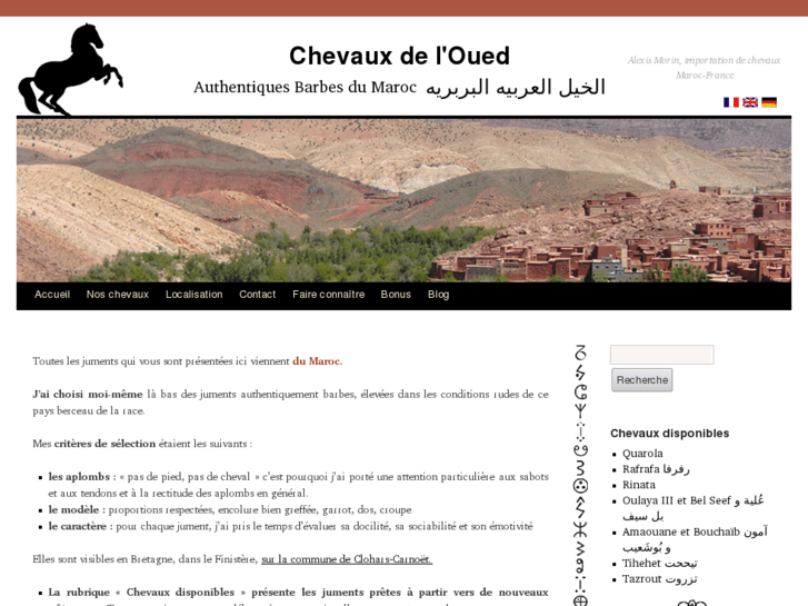 www.chevauxdeloued.com