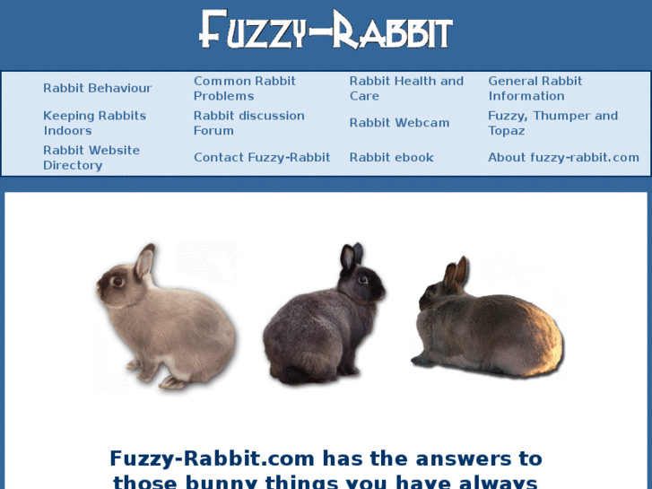www.fuzzy-rabbit.info