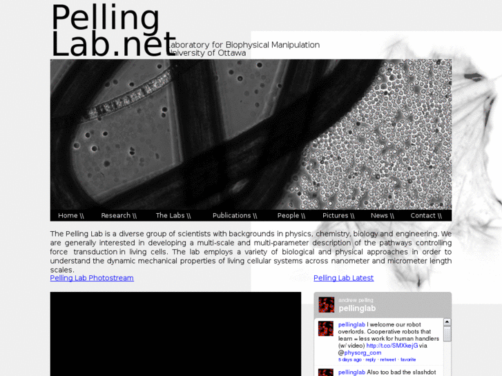 www.pellinglab.net